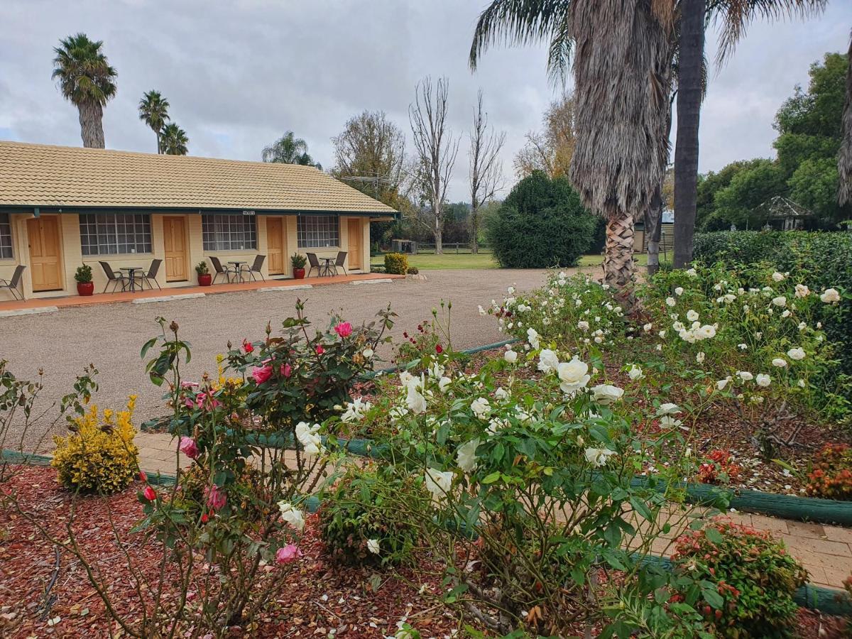 The Aston Motel Tamworth Dış mekan fotoğraf