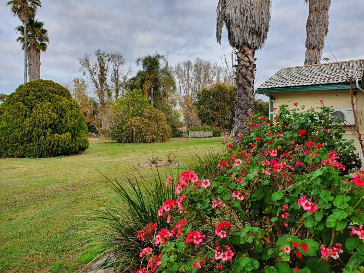 The Aston Motel Tamworth Dış mekan fotoğraf